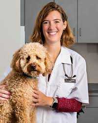 1494 n main street crown point, in 46307 219 310 8315. Crossroads Animal Hospital Northwest In Veterinarian 24hr Vet Clinic