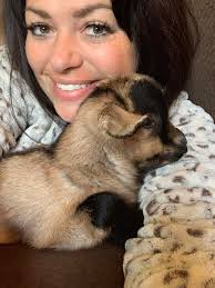 Bottle baby dog breed identification