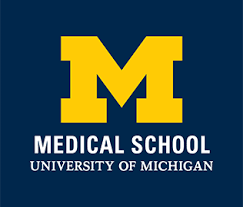 Feranmi Okanlami Md Ms Shifting Paradigms University Of Michigan Medical School In 2020 Student Life University Of Michigan Medical School