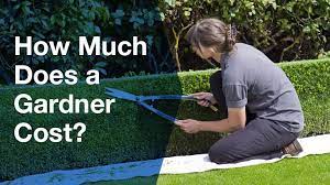 Cost Of Hiring A Gardener Australia Jim S Gardening Hourly Rates Serviceseeking