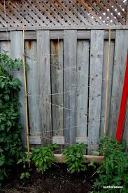 Just free the springs from the mattress then use it to create a support for climbing plants and vines. Pin On Jackie Hampton