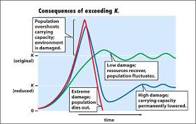 just a chart bottleneck