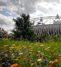 Summer Olympic Games official report London 2012