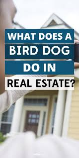 What Does A Bird Dog Do In Real Estate Real Estate Rentals Real Estate Marketing Real Estate