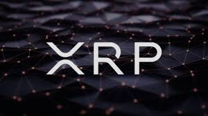 Notably, coil was founded by former cto of ripple and developer of the interledger protocol (ilp), stefan tomas. Xrp Ecosystem Growing Cinnamonvideo Building A Video Streaming Platform On Coil