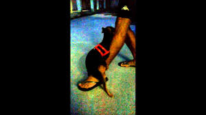 7,587 likes · 5 talking about this. Nina Dancando Funk Youtube