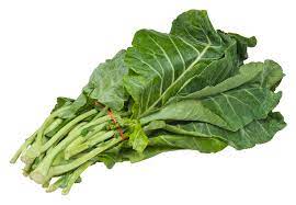 Definition of kale in english english dictionary. Collard Plant Wikipedia
