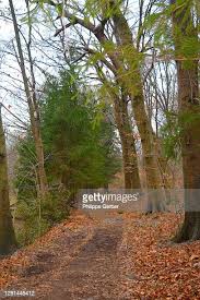 24 Philippe Newlin Stock Photos, High-Res Pictures, and Images