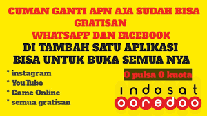 Dengan menggunakan apn tentu akan memudahkan anda untuk tersambung ke internet, jika tidak disetting sudah pasti internet tidak akan bisa nyambung karena apn juga sebagai code komunikasi antar protocol ke provider. Rahasia Internetan Gratis Untuk Semua Operator 100 Work By Gado Tips
