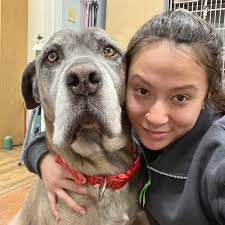 Sully Animal Hospital