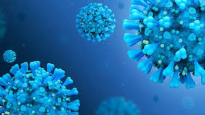 .cepa de coronavirus descubierta en los últimos días en el reino unido y por cuya aparición el reino unido confirmó ayer la presencia en su territorio de una nueva cepa de coronavirus, que se. La Cepa Europea Del Coronavirus Es Mas Contagiosa Ambientum