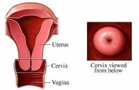 How To Check Your Own Cervix |