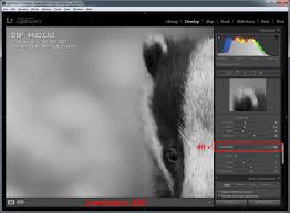 You can always search for specific instructions on the included noise reduction plugins in your editing software. How To Reduce Noise In Photos In Lightroom Nature Ttl