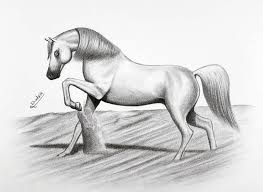 How To Draw A Horse With A Pencil Drawing Art Horse Horses Art Drawings