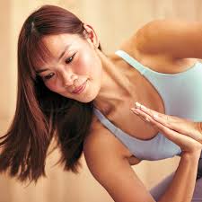 Yoga for Beginners Alex Hodges-AI