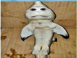 Ini sih mending ya, ada hal positif yang bisa diambil, yaitu kebaikan ngasih wejangan supaya kita sebagai anak nggak boleh namanya jahat sama orangtua. Kisah Sebenarnya Di Balik Kabar Hiu Dan Pari Yang Sempat Viral Mongabay Co Id Mongabay Co Id