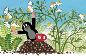 Pinterest Osterreich