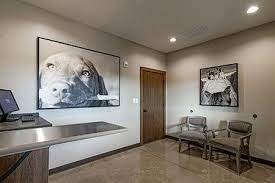 Personalized pet care to meet your needs! 2019 Dvm360 Hospital Design Competition People S Choice Award Winner El Paso Animal Hospital