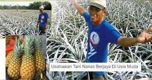 Membimbing serta mewujudkan usahawan yang terlatih dan mahir dalam penggunaan dan. Mohd Shah Antara 10 Usahawan Tani Yang Berjaya Di Usia Muda Kartel Dakwah