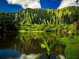 Maybe you would like to learn more about one of these? Shipping A Car To Or From Hawaii Hi
