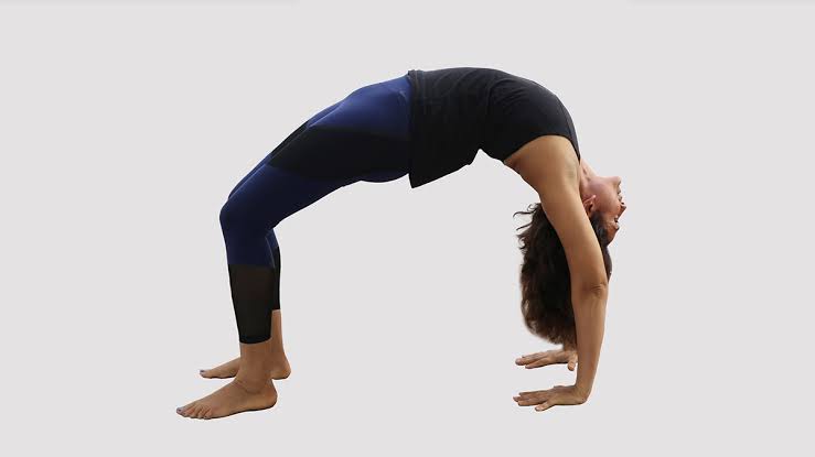 Image result for chakrasana