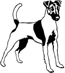 Fox terrier (wire) — foxterrier foxterrier (glatthaar) … deutsch wikipedia. 4pfotenshop Hundewarnschilder Und Kratzfeste Autoaufkleber Mit Hundemotiven Autoaufkleber Kontur Folienaufkleber Foxterrier