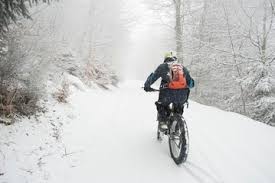 Check spelling or type a new query. Best All Weather Electric Bikes