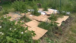 We did not find results for: Garden Upcycling With Cardboard How To Use Cardboard In The Garden