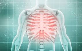 Contrairement à ce que l'on pourrait croire, cette variation est. Quiz Le Corps Humain