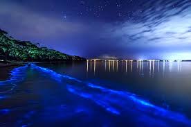 Bioluminescent Beach Puerto Rico 15 Of The Most Incredible Natural Swimming Pools In The World Bioluminescent Bay Puerto Rico Beaches Bioluminescent Bay Puerto Rico
