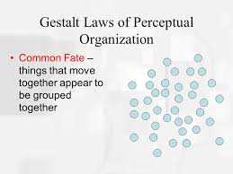 Gestalt laws/principles of perceptual organization. Chapter 5 Perceiving Objects Ppt Video Online Download