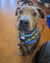 St. Matthews Matters news and events