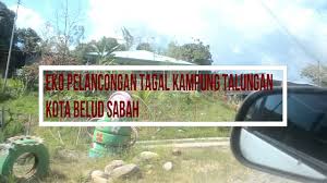 Perkampungan ini menawarkan pelbagai keunikan untuk tatapan pelancong seperti persembahan tarian tradisional, pengalaman menyumpit, berjalan dengan buluh & mempelajari. Tempat Tempat Menarik Di Kota Belud Sabah Youtube