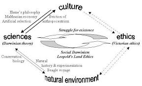 This Infographic Flowchart Shows The Relationship Between Culture The Sciences The Natural E Environmental Ethics Environmental Studies Environmental Science