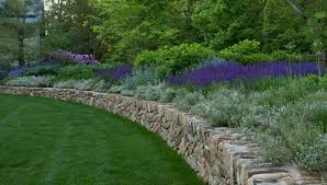 Naturalistic Garden Naturalistic Garden Garden Landscape Design Landscape Design