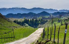 Exista o lista de vehicule off road care fac fața cu succes unui astfel de test. Excursii Cu Masini De Teren De Èirnea Experience