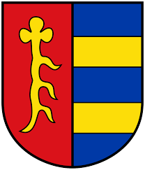 Tsg hoffenheim is a very famous football club in germany. Hoffenheim Wikipedia