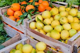 Shipping Fresh Produce What You Need To Know Abco Transportation