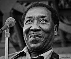 Chicago Blues Hall of Fame ® Artists inducted into the Blues Hall of Fame ® 