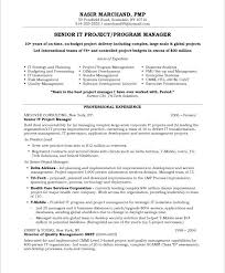 2 it resume summary examples. Pin On It Resume Samples