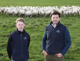 Precision decisions drive performance