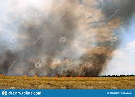 What causes a tornado to form in a fire? Feuer Trocknen Vollig Zerstoren Felder Brennfelder Tornado Rauch Und Feuer Stock Abbildung Illustration Von Feuer Wiese 156553357