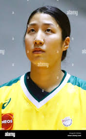 Denso iris hi-res stock photography and images