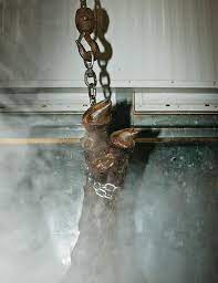 This Is What Humane Slaughter Looks Like Is It Good Enough Modern Farmer
