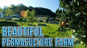 Maybe you would like to learn more about one of these? Beautiful 1 Acre Small Scale Permaculture Farm Limestone Permaculture Permaculture Backyard Farming Biodynamic Agriculture