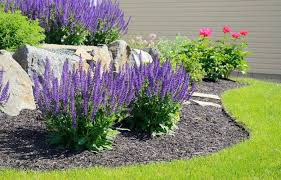 Trees like oak, maple, blue spruce, jack pine are as good as it gets when it comes to decorating open outdoor spaces and also impeccable for front yards. 10 Simple Landscaping Ideas For Your Front Yard
