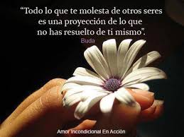 Pin De Viviana Zarlenga En Amor Incondicional En Accion Amor Incondicional Pensamientos Amor