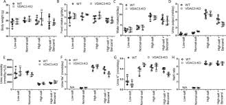 We did not find results for: Knockout Of Mitochondrial Voltage Dependent Anion Channel Type 3 Increases Reactive Oxygen Species Ros Levels And Alters Renal Sodium Transport Journal Of Biological Chemistry