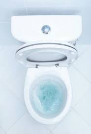 Solved What To Do When Your Toilet Gurgles Toilet Repair Clogged Toilet Toilet