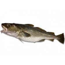 La reine de l'été, c'est la sardine. Cabillaud Breton Entier Vente Achat En Ligne De Poissons Frais